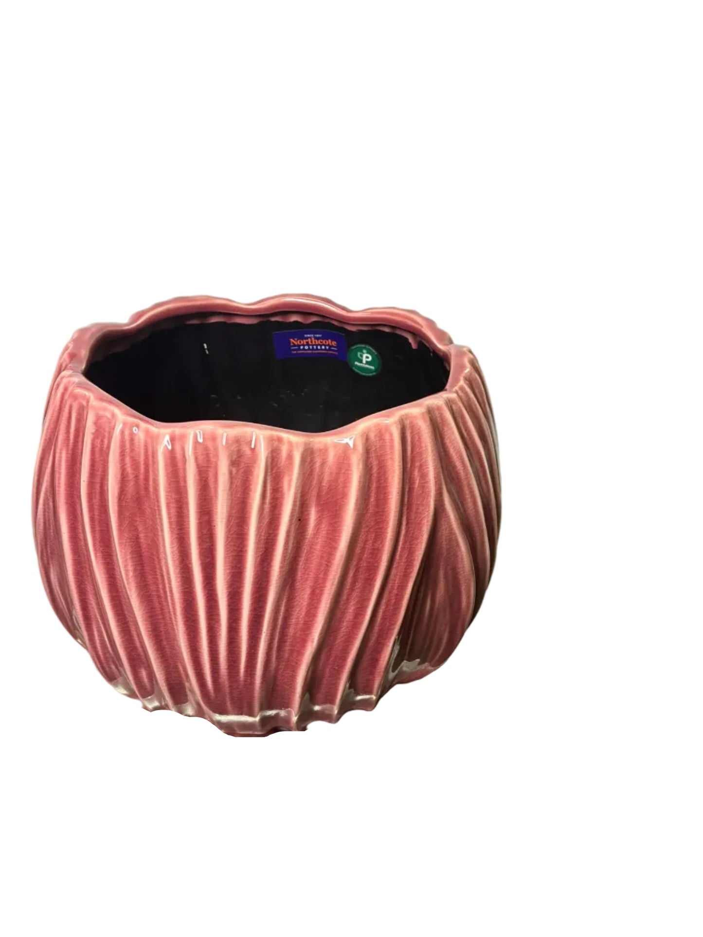 Tulip Pot S/2 Rose