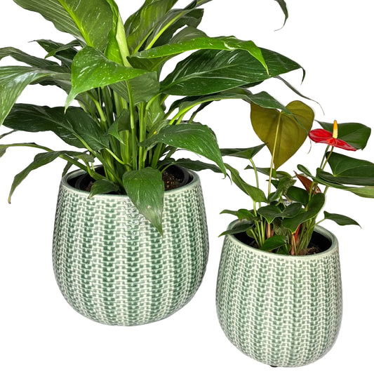Coastal Pot S/2 - Green