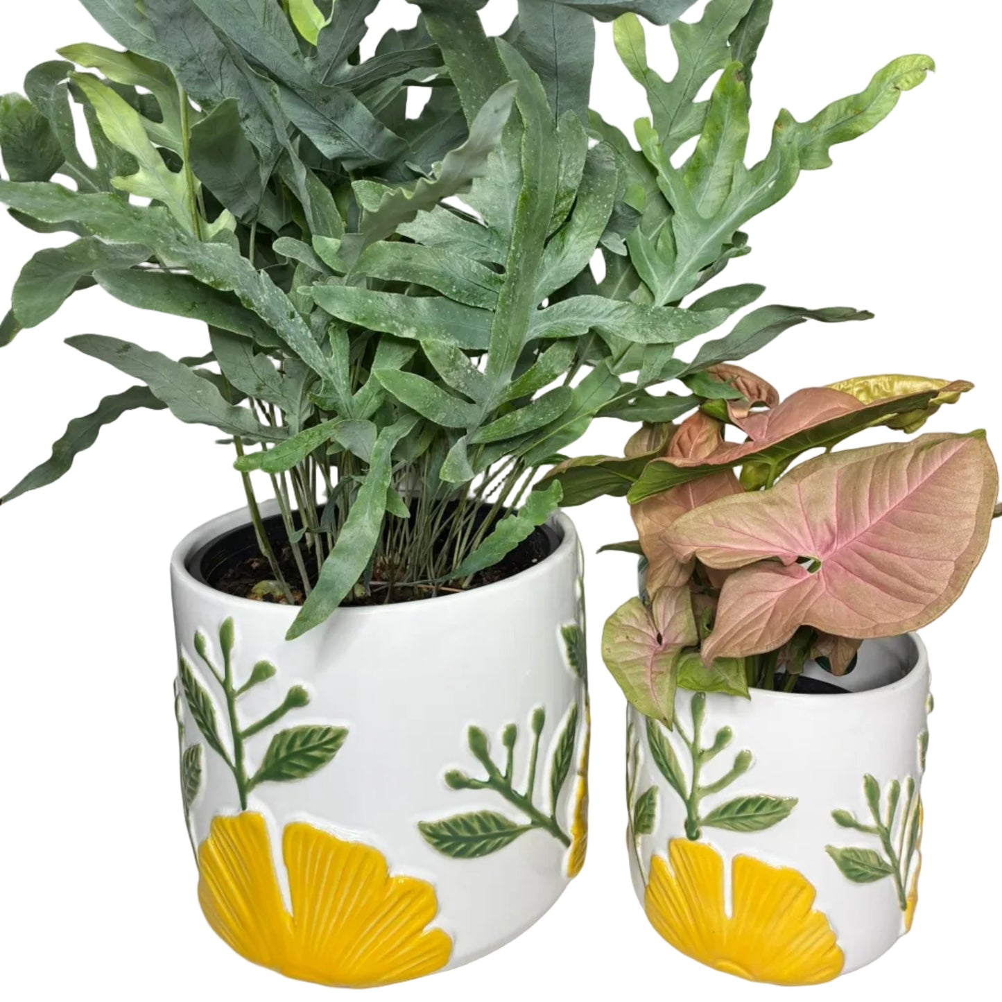 Yellow Flower Pots S/2