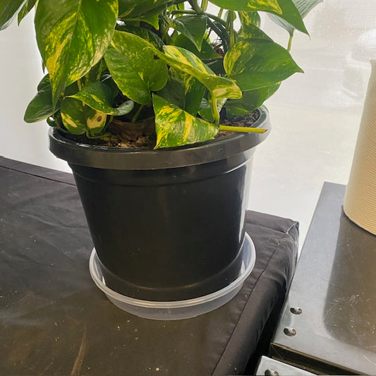 Clear Plastic Saucer 300mm