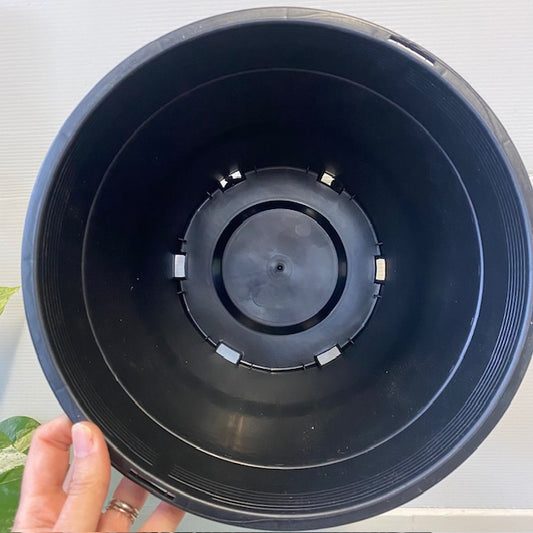 Black Plastic Growers Pot 250mm