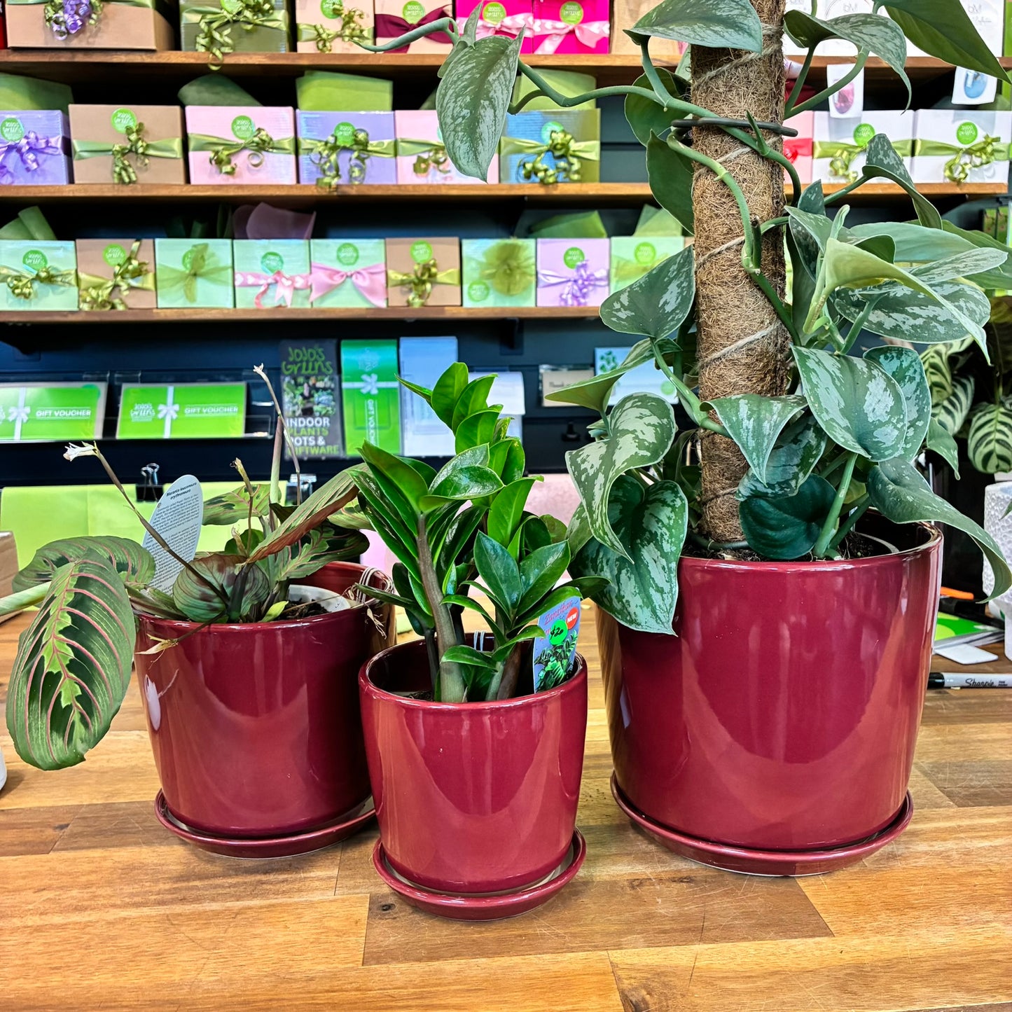 Maya Cone Pot with Saucers - Red - 3 sizes