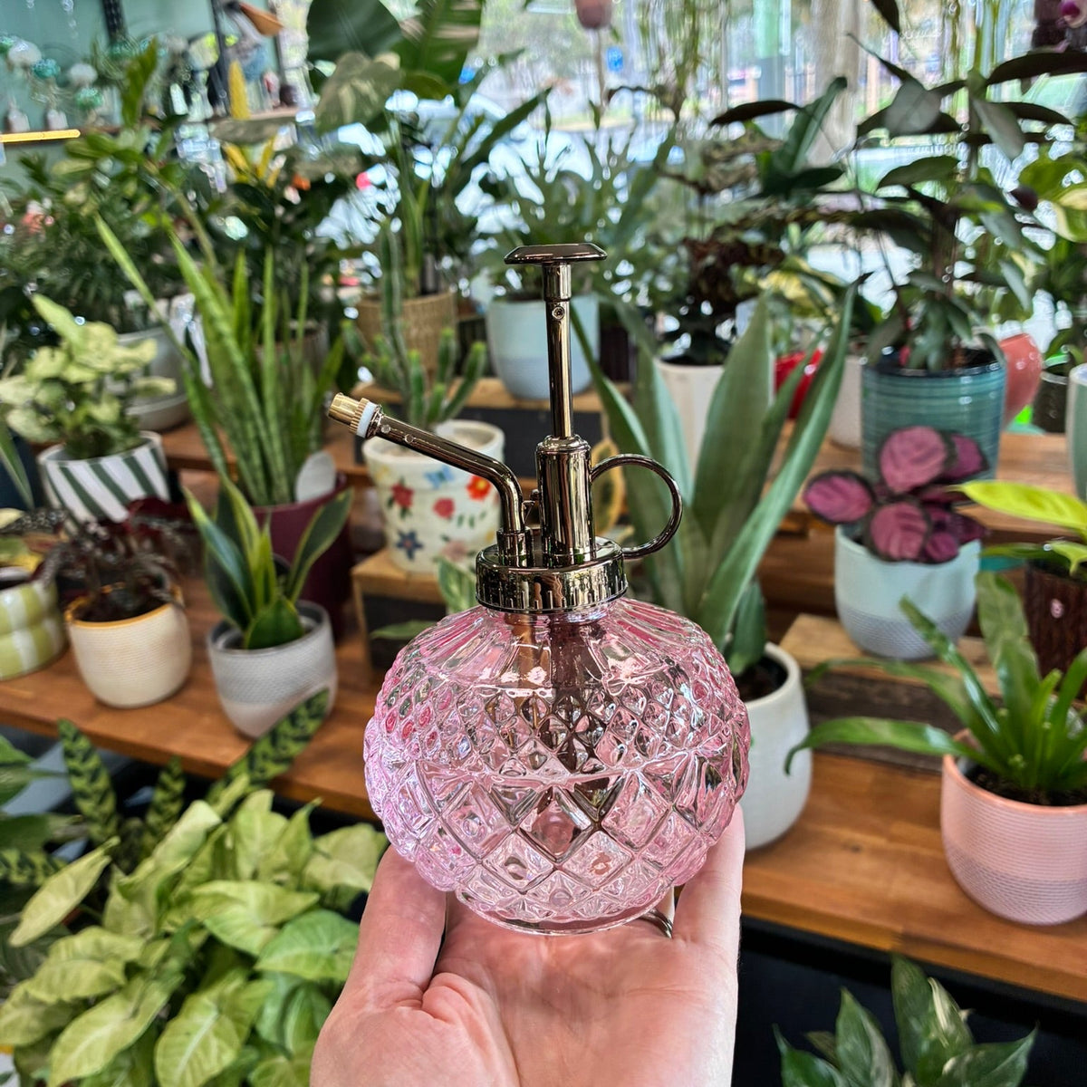 Antique Water Mister - Pink