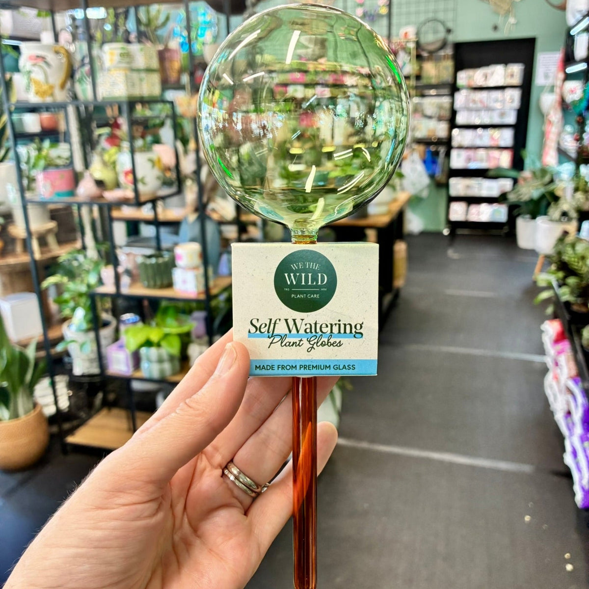 Self Watering Plant Globe
