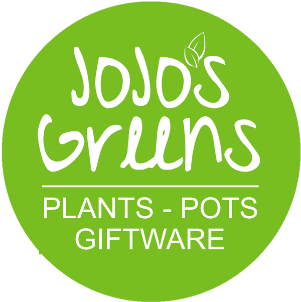 JoJo's Greens