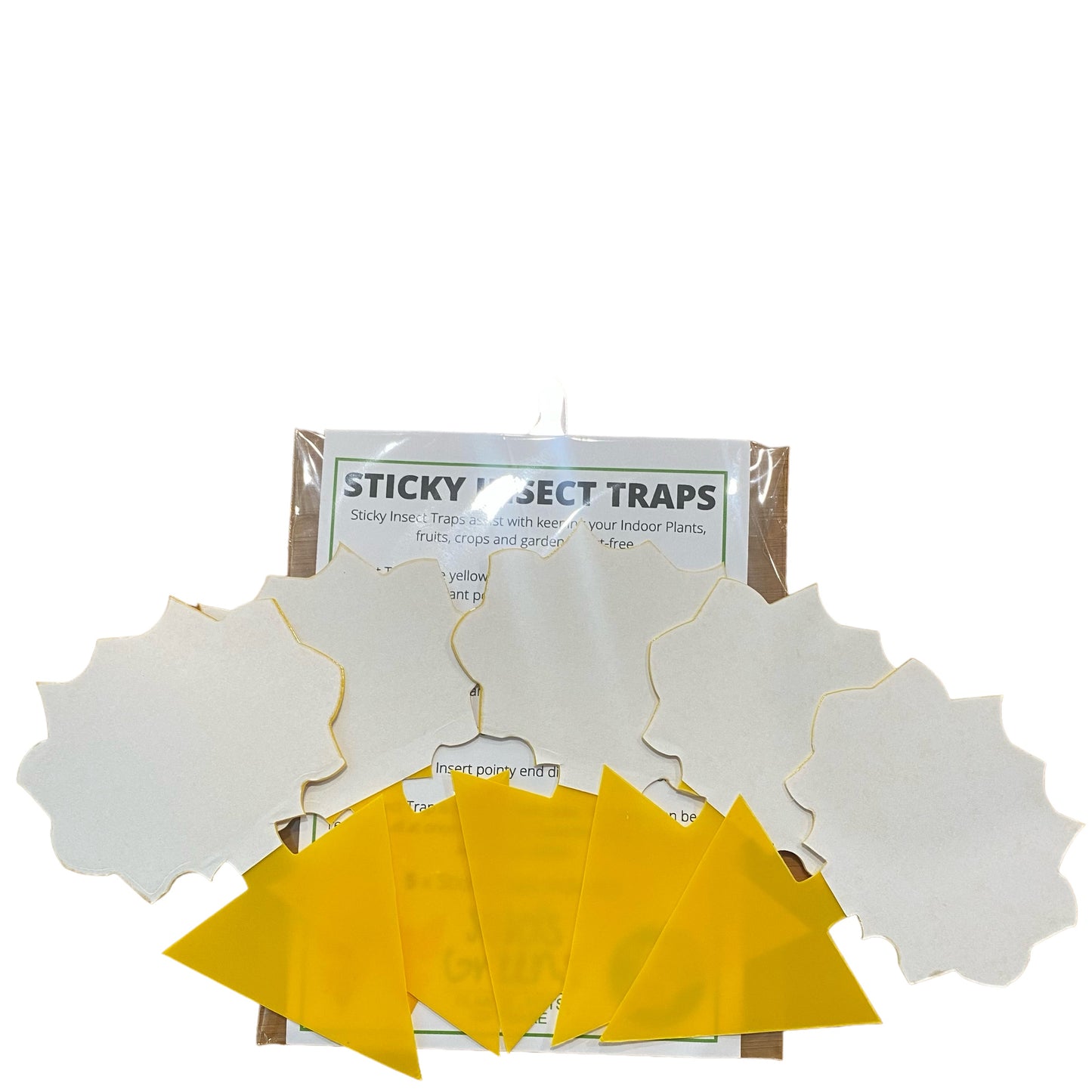 Sticky Insect Traps x 5