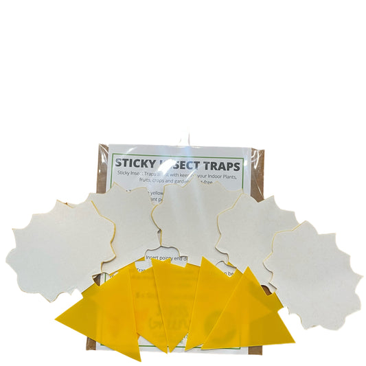Sticky Insect Traps x 5