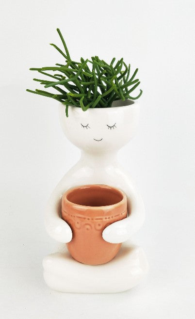 Person Holding a Pot Planter Rose