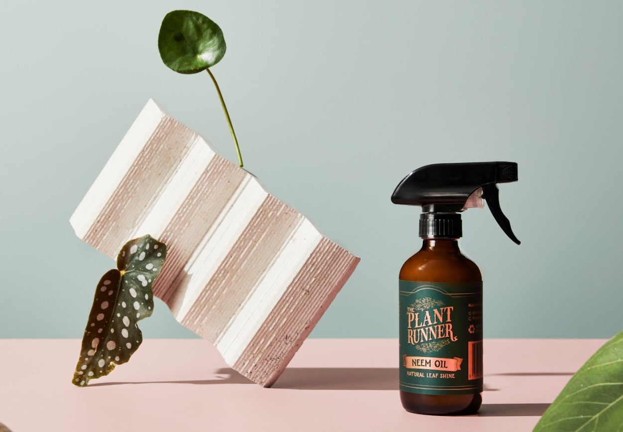 The Plant Runner Neem Oil Leaf Shine