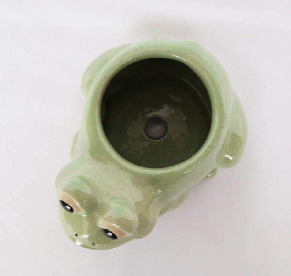 Frog Planter Light Green Small