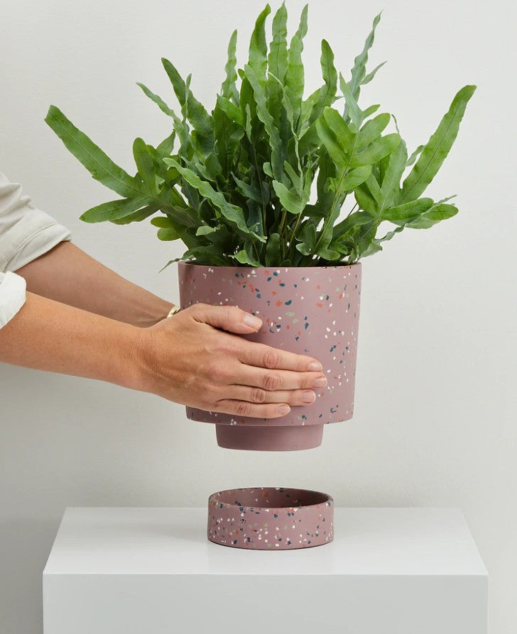 Terrazzo Banjo Pot - Musk Terrazzo