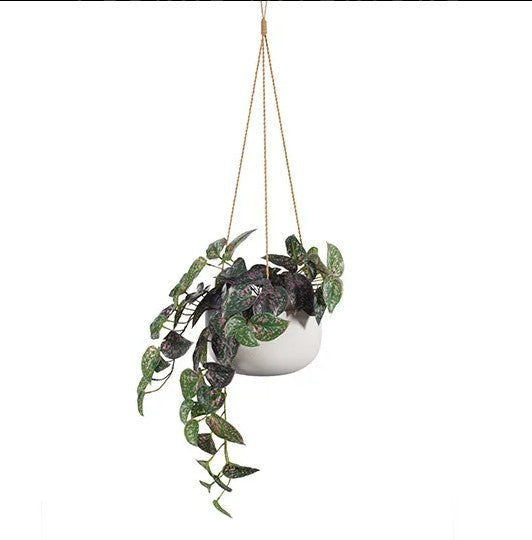 Bowl Hanging Flo
