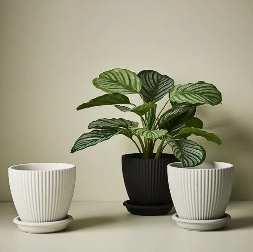 Johanna Pot with Saucer