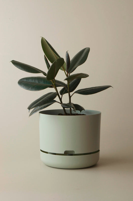 Mr Kitly Self Watering Pots - 300mm