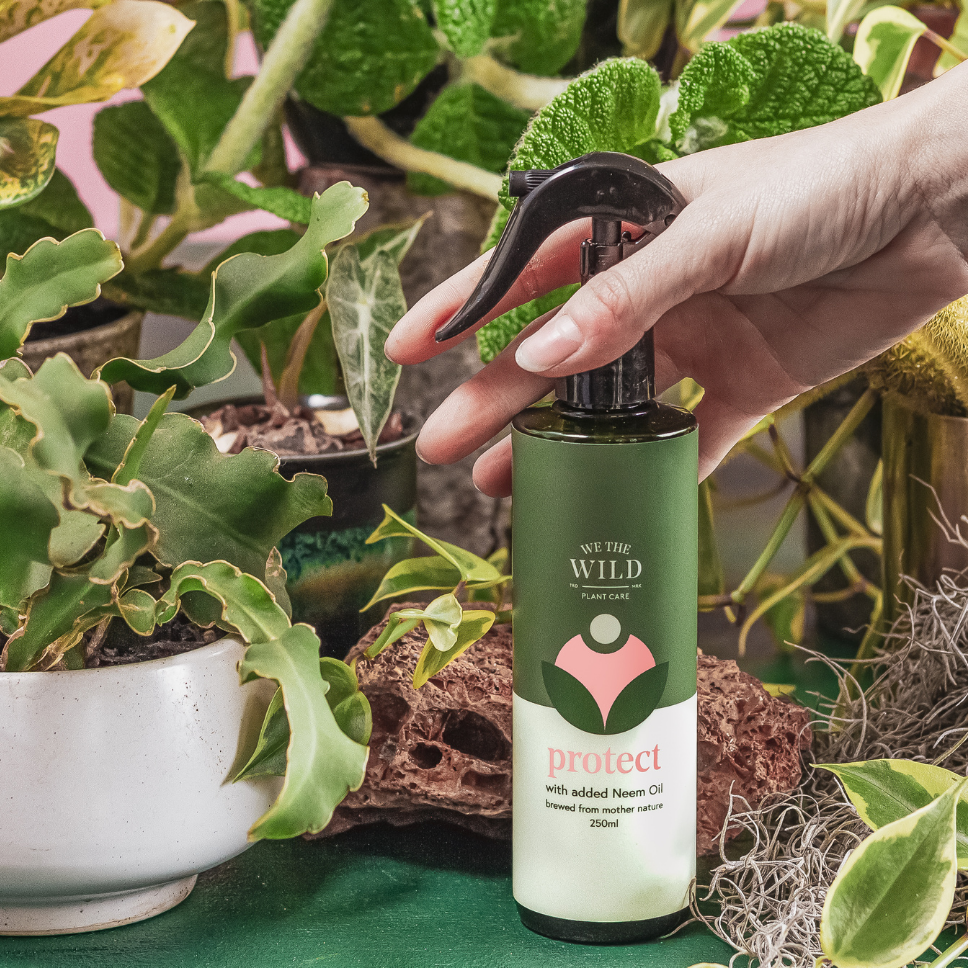 We The Wild Protect Spray 250ml