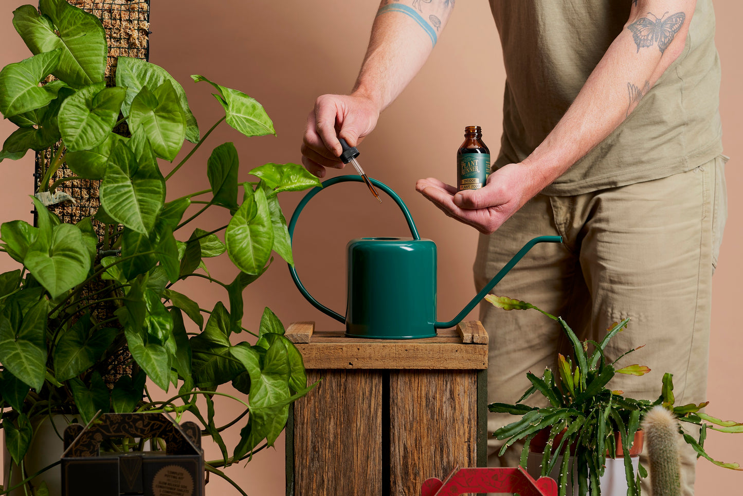 The Plant Runner - Indoor Plant Food