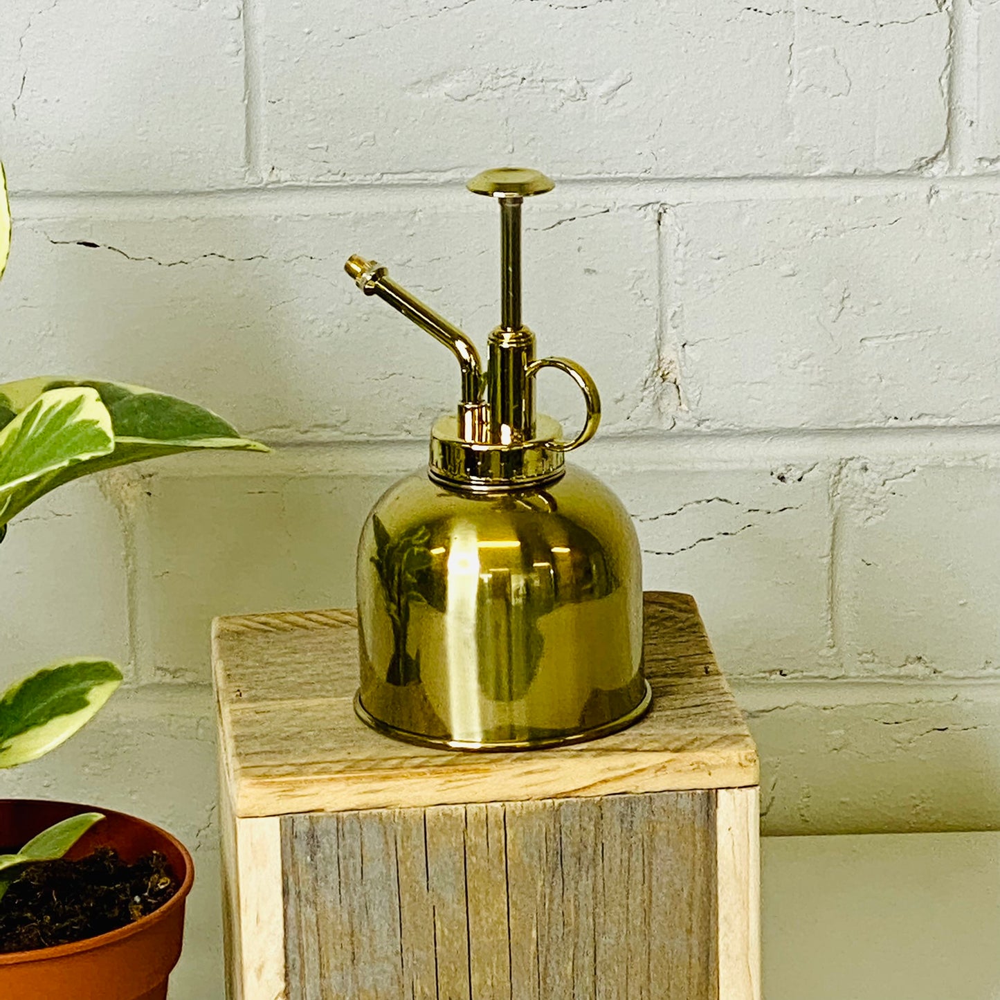 Brass Mister