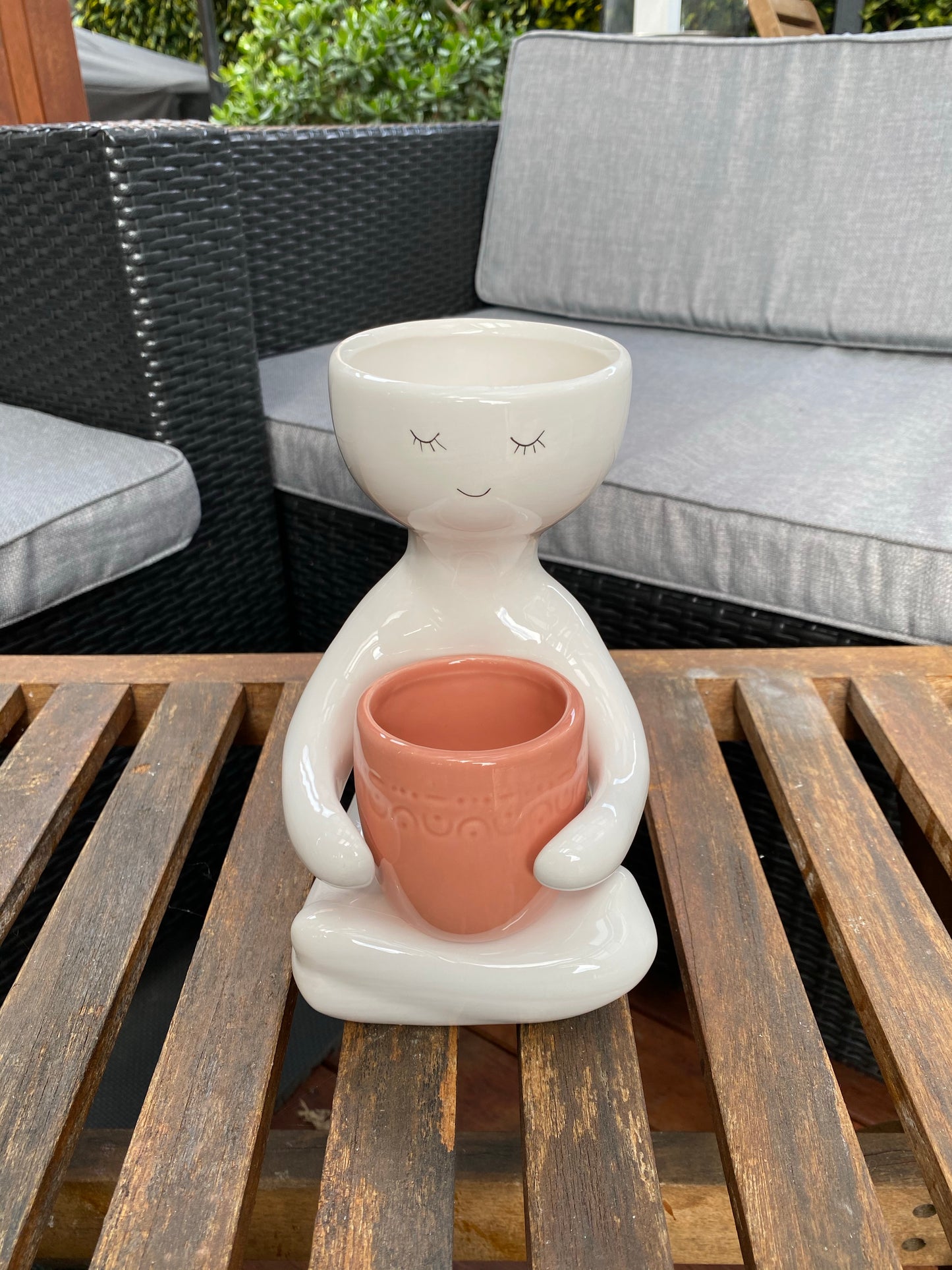 Person Holding a Pot Planter Rose