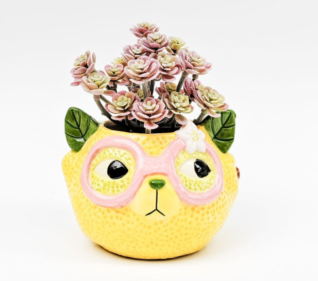 ANIMAL PLANTERS