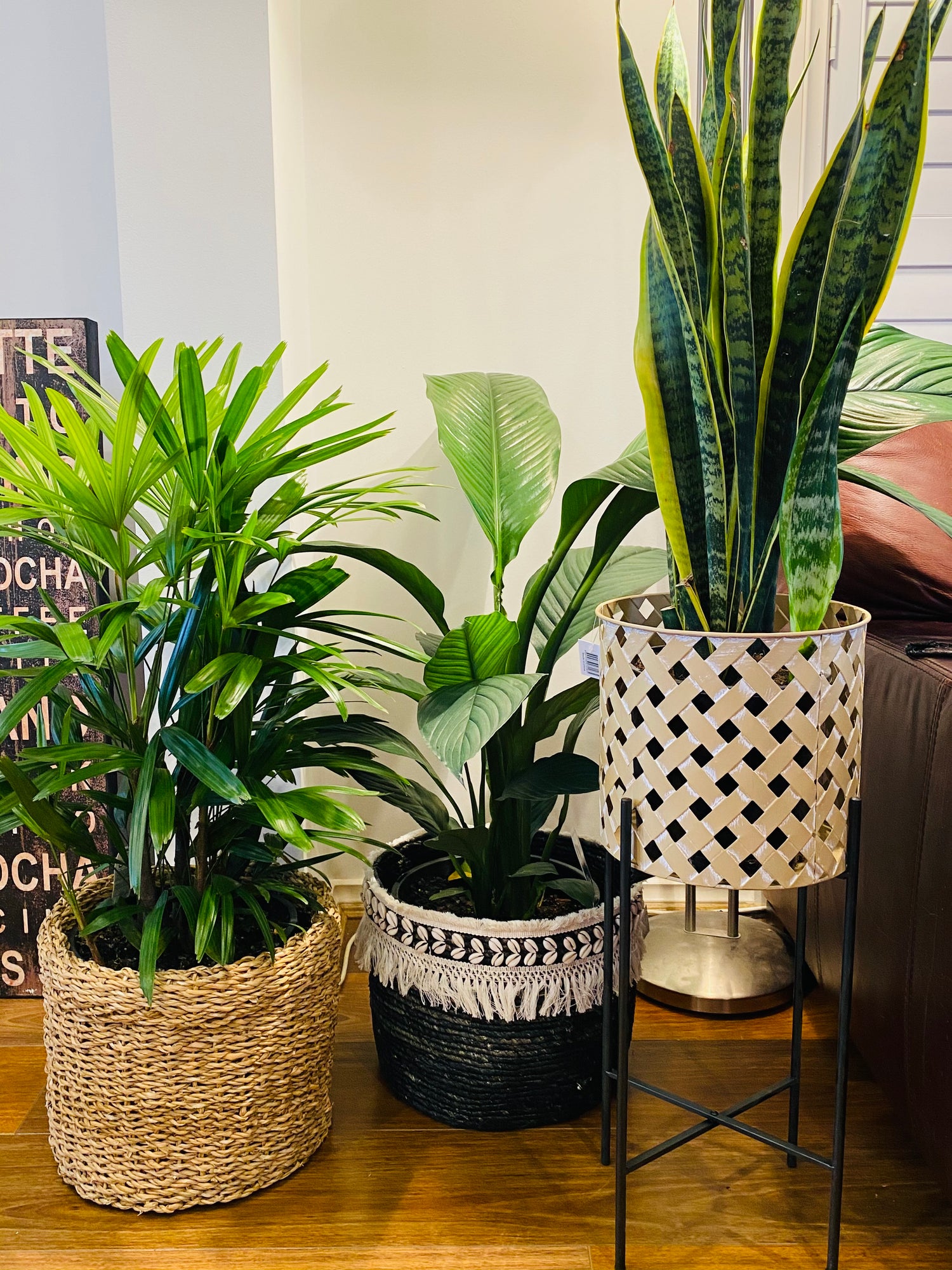 BIGGER POT & PLANT COMBOS