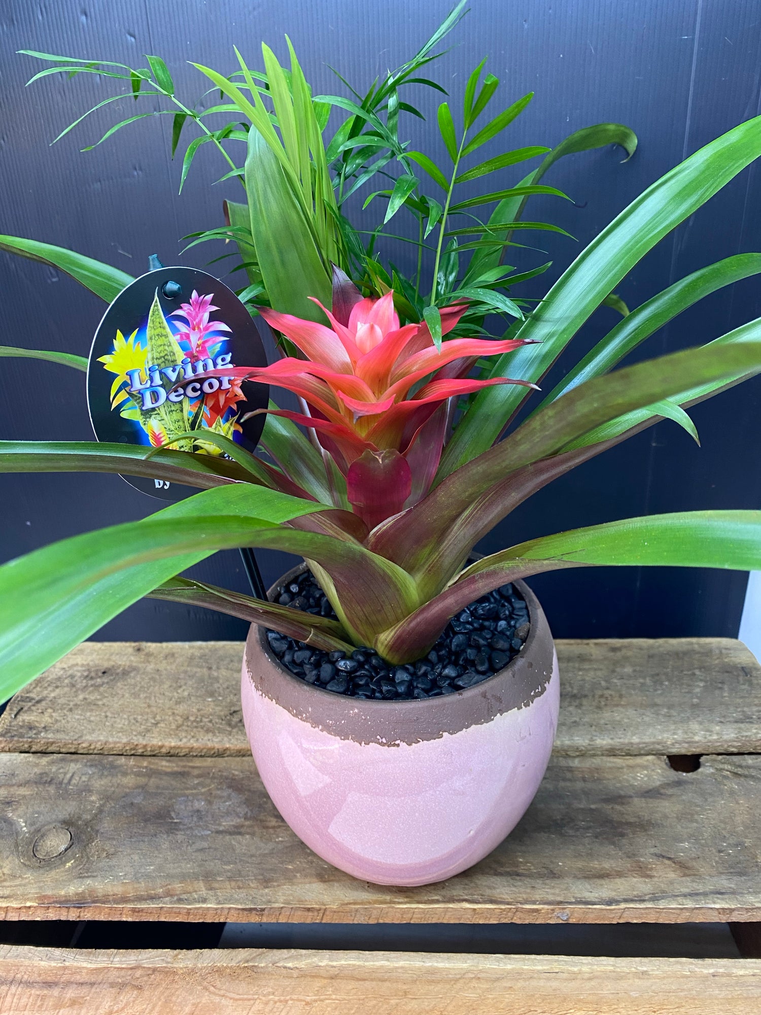 Mothers Day Ideas !