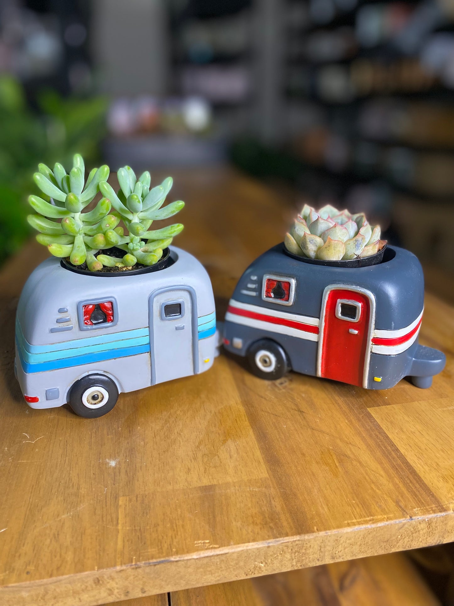 Small Camper Planter - Blue