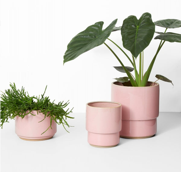 Angus Planter Medium Pink