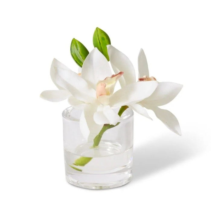 Cymbidium Orchid in Vase