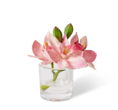 Cymbidium Orchid in Vase Pink
