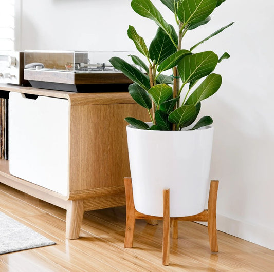 Jayda Pot with Stand