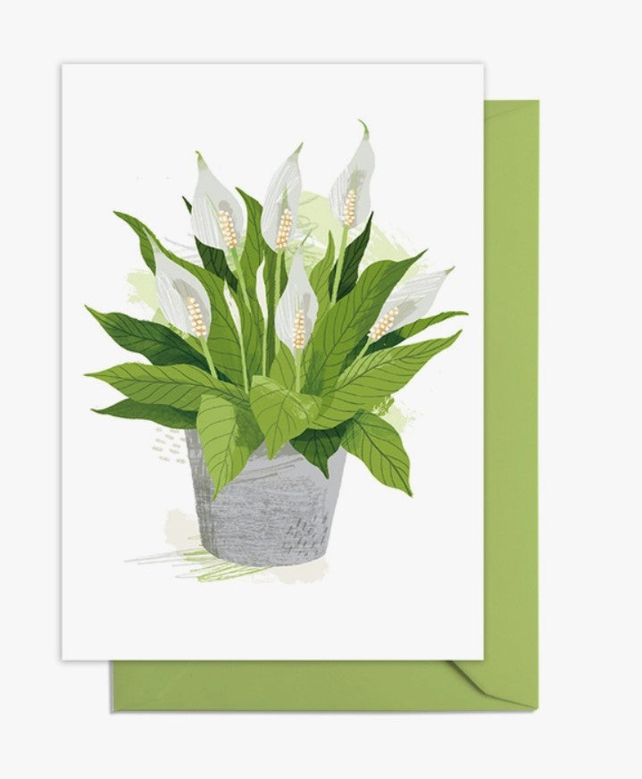 Peace Lily Greetings Card
