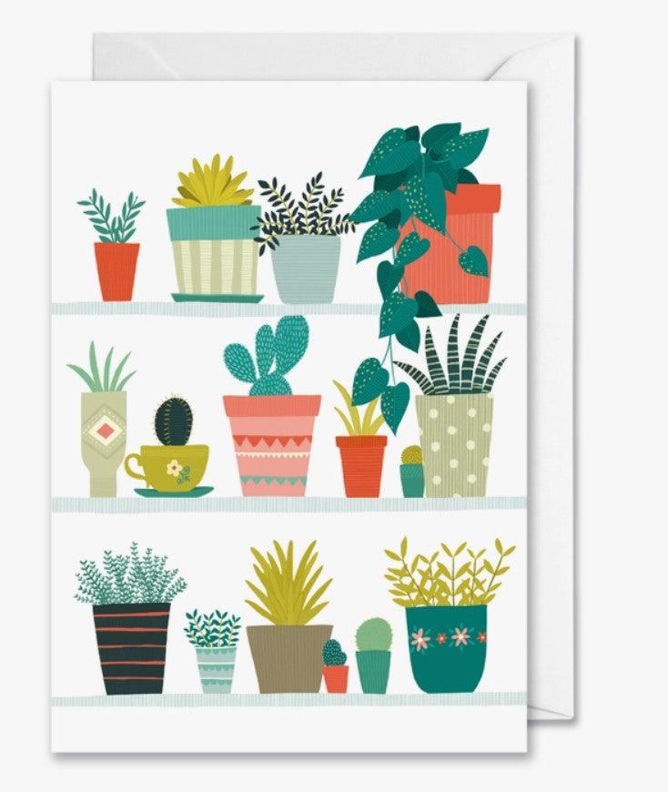 Pot Plant Arrangement On Shelves Card