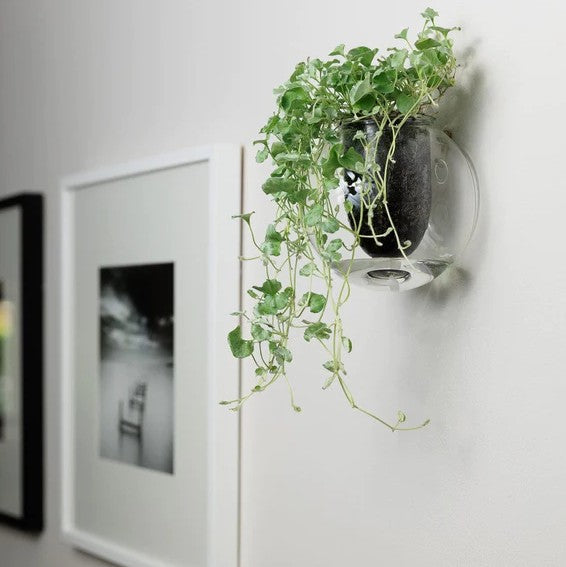 Wall-mounted Self Watering Pot