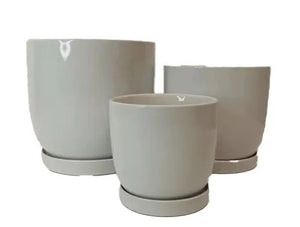 White Planters with Saucers 3 Sizes