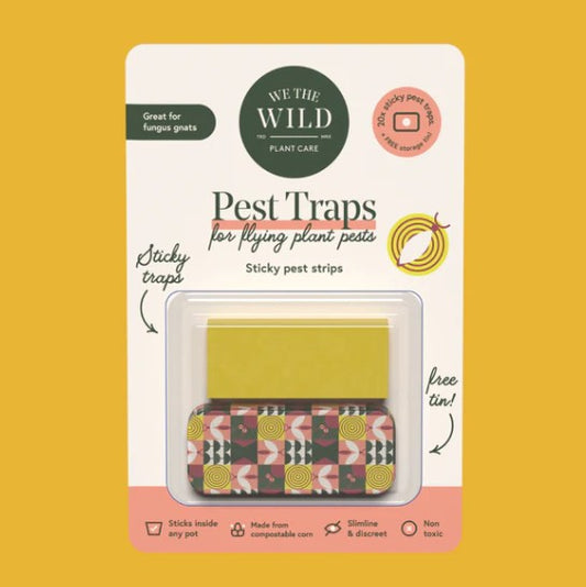 Compostable Gnat Traps