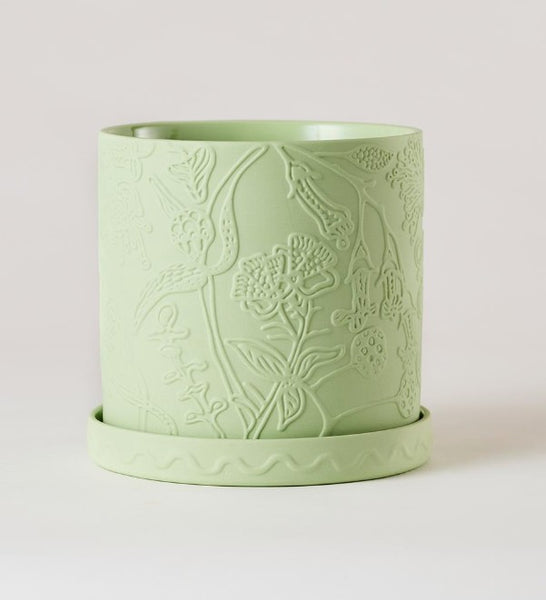 Callista Pot Lime