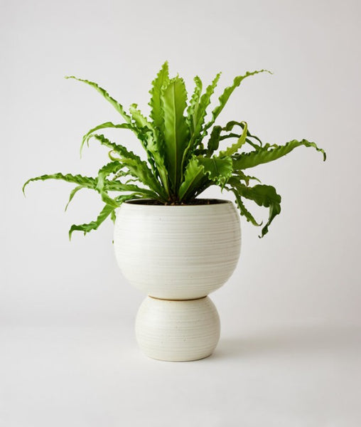 Spherical Plant Pot Small Celadon Creamy White Speckle