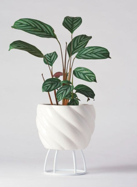 Spiral Plant Pot with Stand