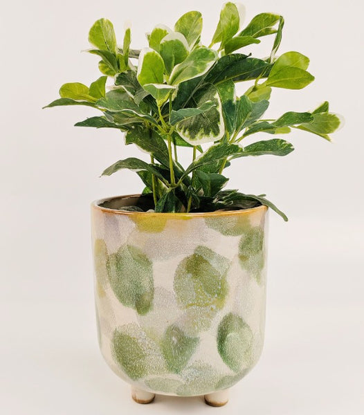 Della Artisian Planter Green 15cm