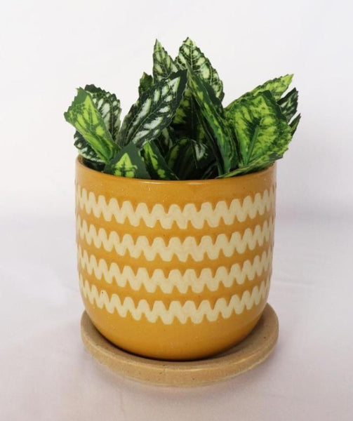 Mustard Zig Zag Planter with Saucer - Small