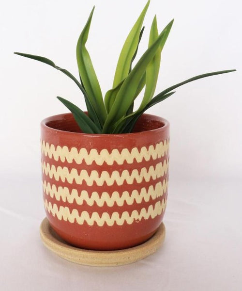 Berry Zig Zag Planter with Saucer - Small