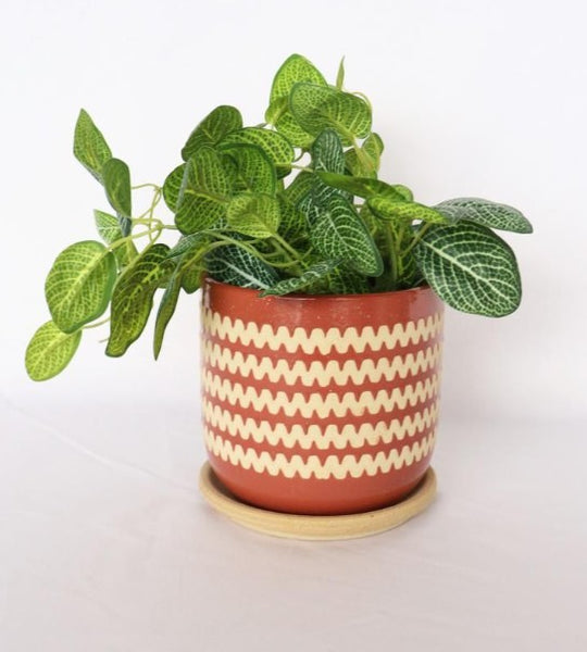 Berry Zig Zag Planter with Saucer Medium