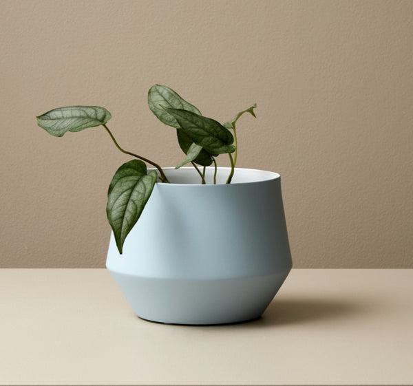 Samso Planter: Sky