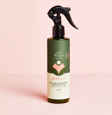 We The Wild Protect Spray 250ml