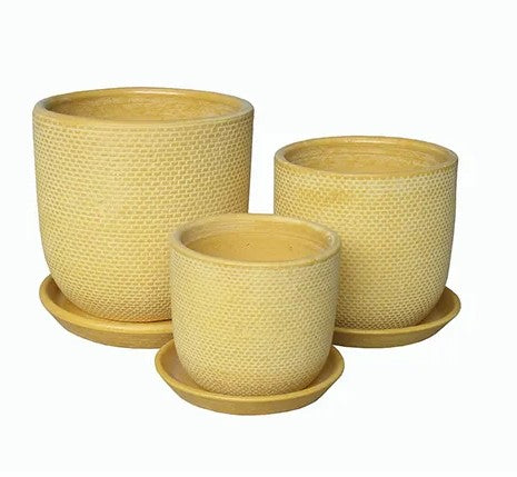 Soho Pots with Saucers - Mustard - 3 sizes