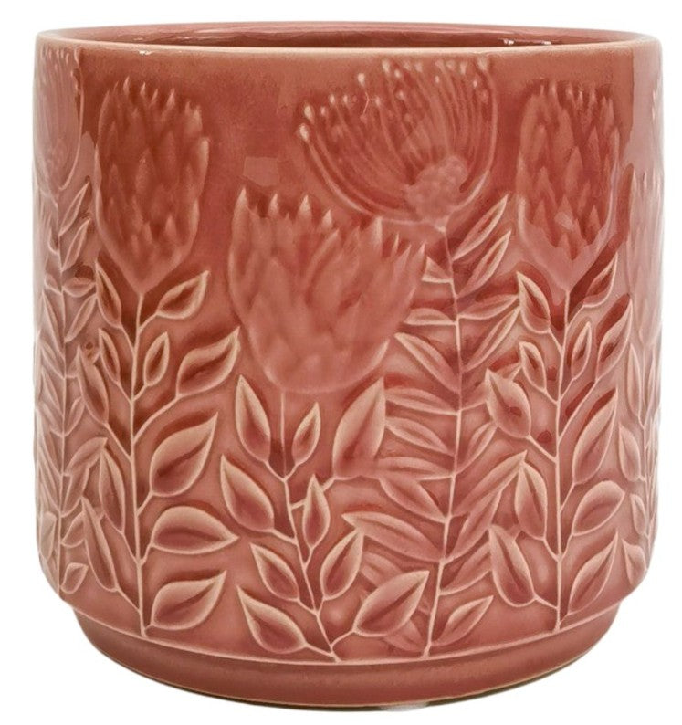 Protea Planter Pink 14cm