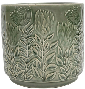 Protea Planter Sage 17cm