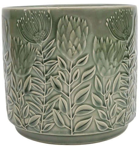 Protea Planter Sage 17cm