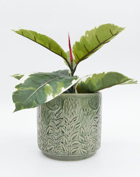 Protea Planter Sage 17cm