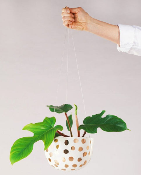 Deocrative Hanging Planter Gold Spot